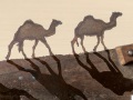 Small-saw-3-camels-A-1600-sig