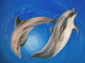 Mural in dentist's office by Cindy Chinn - Dolphins