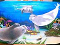 Underwater Mural Aquarium 4x8 09