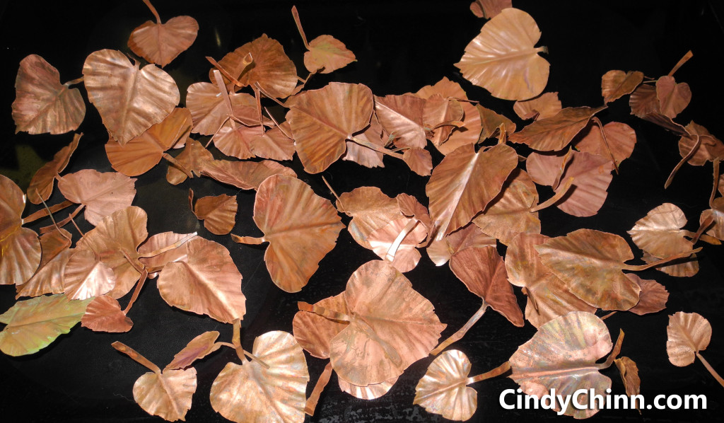 CopperCottonWoodLeaves