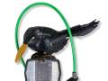 BlackBird-Mounted-on-Bike-Parts-09-B-SIG