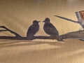 Lovebirds Saw