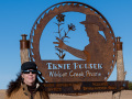 Metal Art Rousek Wildcat Prairie Sign byt Cindy Chinn