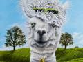 Amy the Alpaca Painting by Cindy Chinn