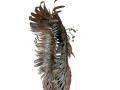 Phoenix Metal Sculpture - Side