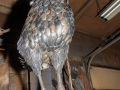 sandhill-crane-sculpture-210916-full-body-3