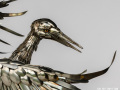 Sandhill-Crane-Metal-Sculpture-Cutlery_04