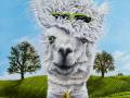 Alpaca Painting by Cindy Chinn