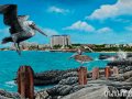 Mullet Bay Painting by Cindy Chinn