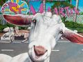 Goats of St Maarten Sofie painting by Cindy Chinn
