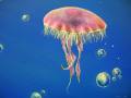 Underwater Ceiling Mural - 12 - Jellyfish Detail
