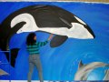 Underwater Ceiling Mural - 19 Orca Painting
