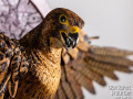 Falcon sculpture wood and metal