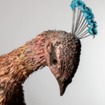 Life size Metal Peacock Sculpture