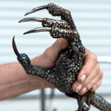 Phoenix Metal Sculpture