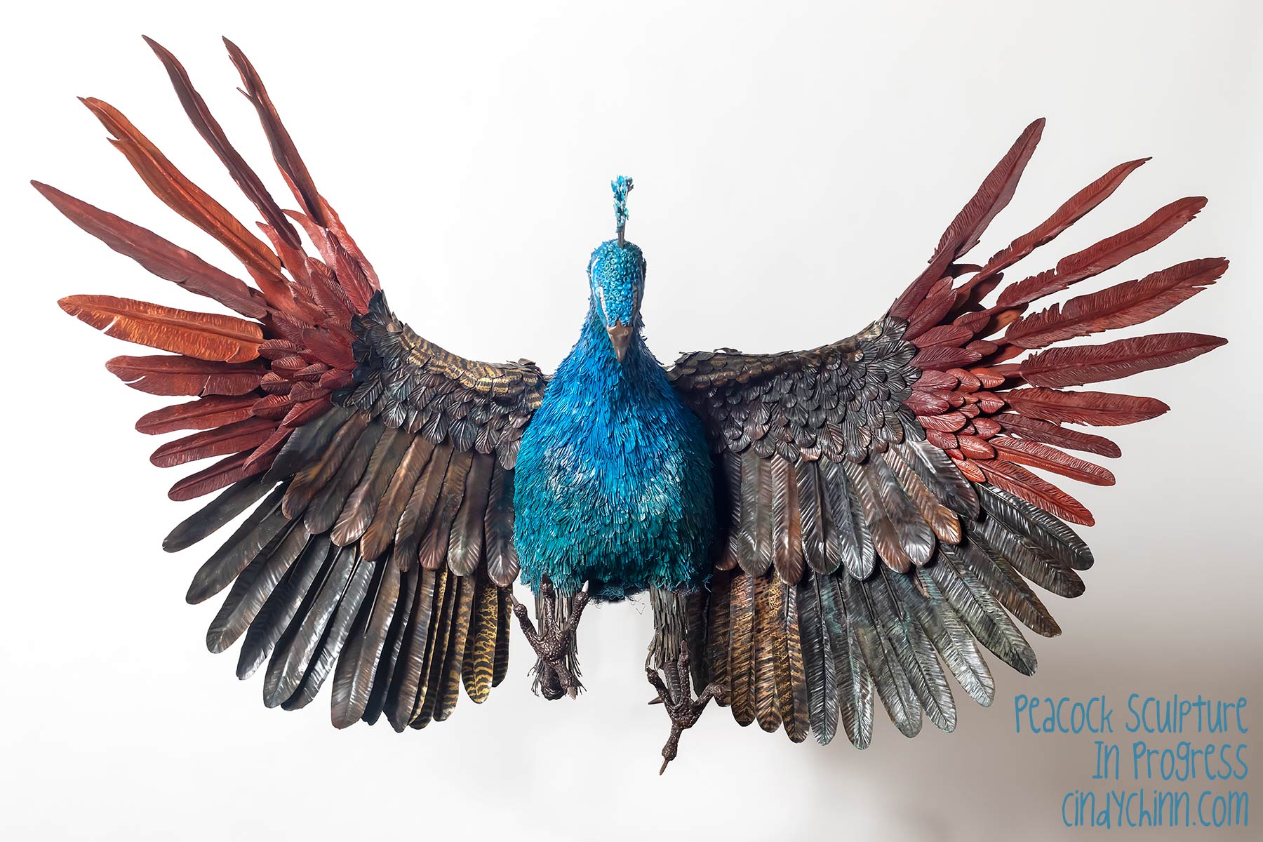 metal peacock sculpture by cindy chinn