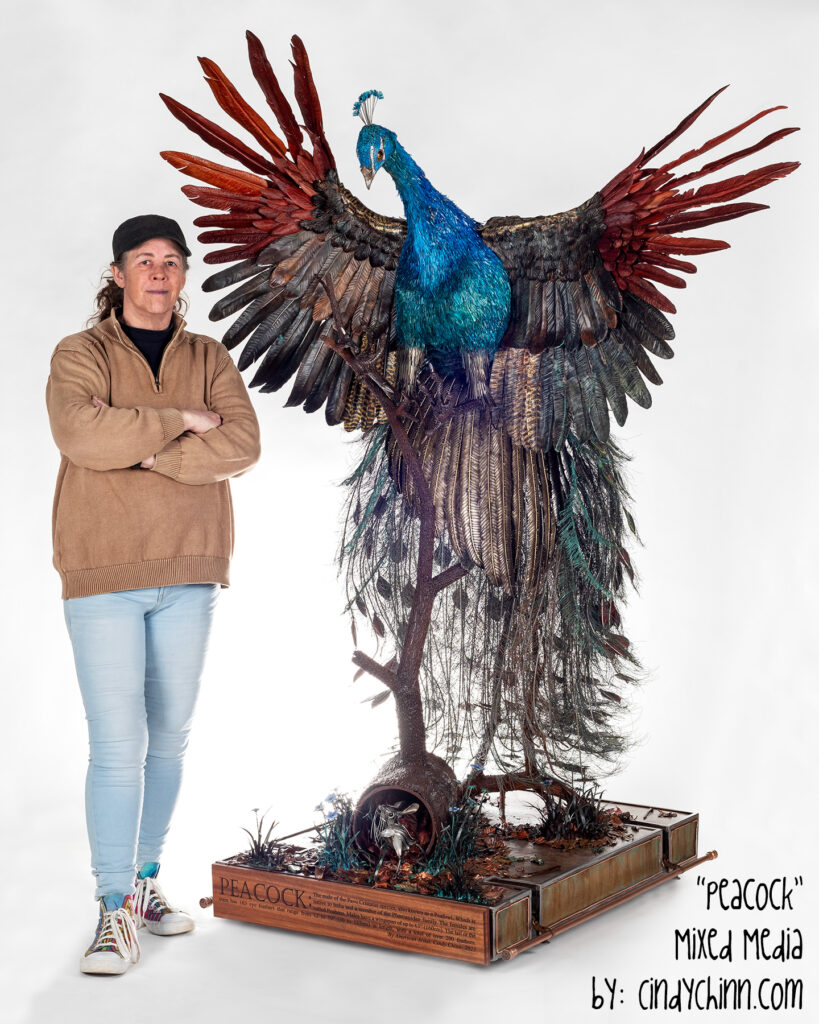Life size metal Peacock Sculpture Cindy Chinn