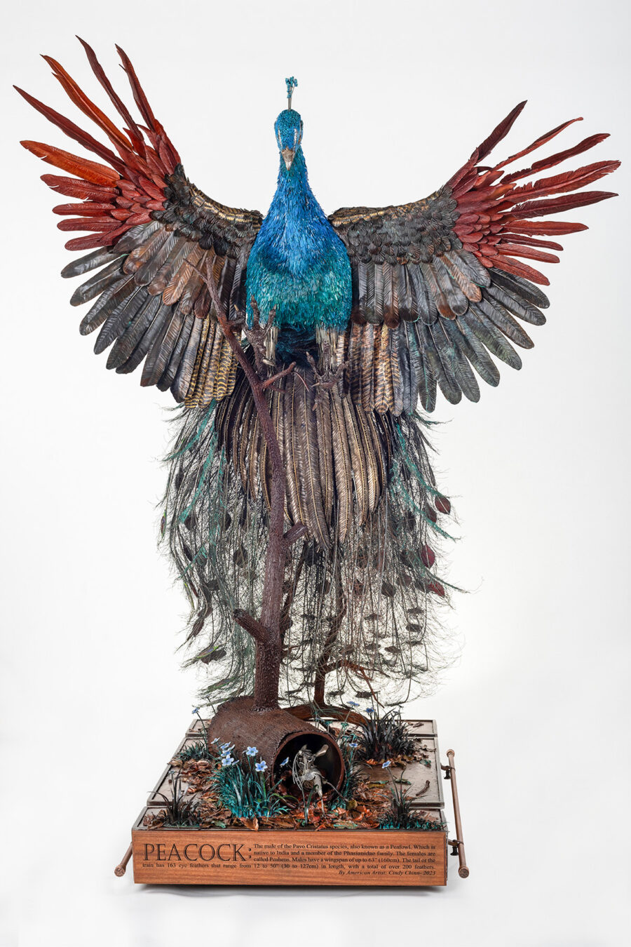 Peacock Sculpture by Cindy Chinn - 8