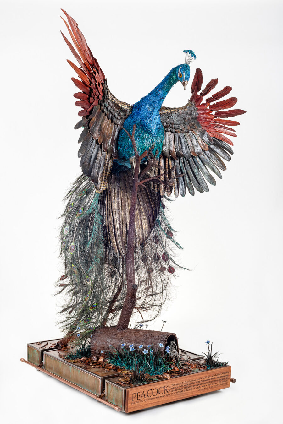 Peacock Sculpture by Cindy Chinn - 9