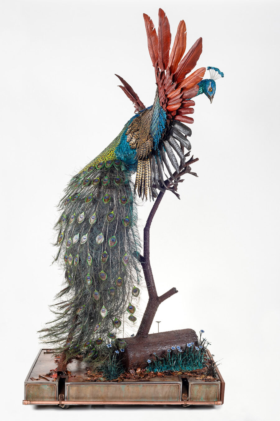 Peacock Sculpture by Cindy Chinn - 11