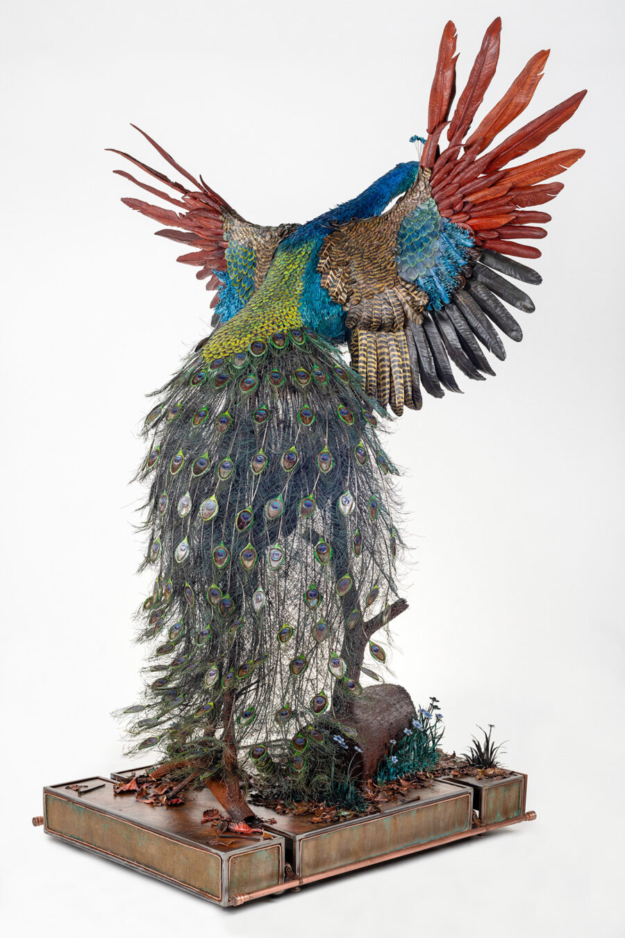 Peacock Sculpture by Cindy Chinn - 12