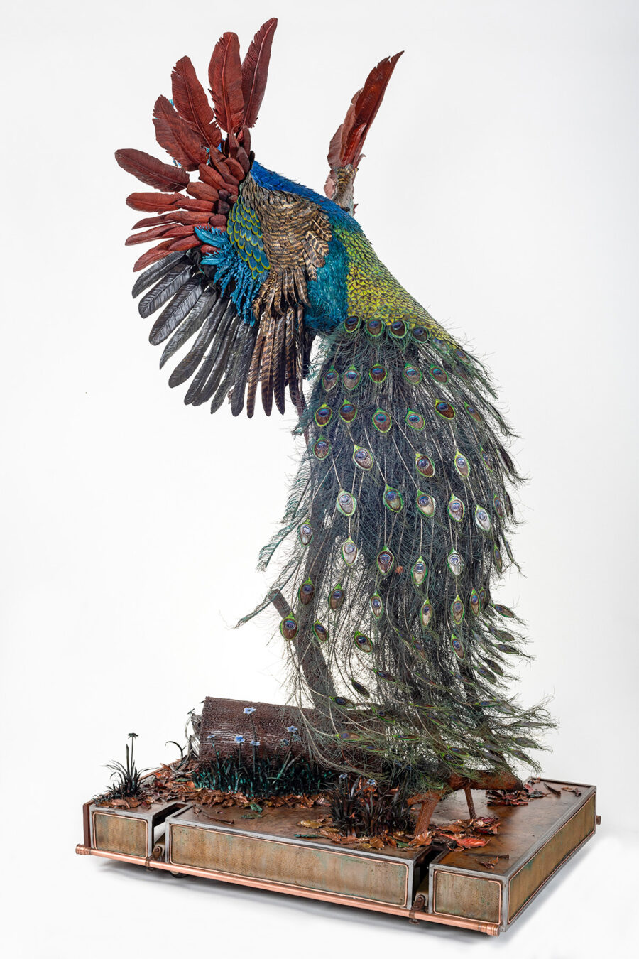 Peacock Sculpture by Cindy Chinn - 15