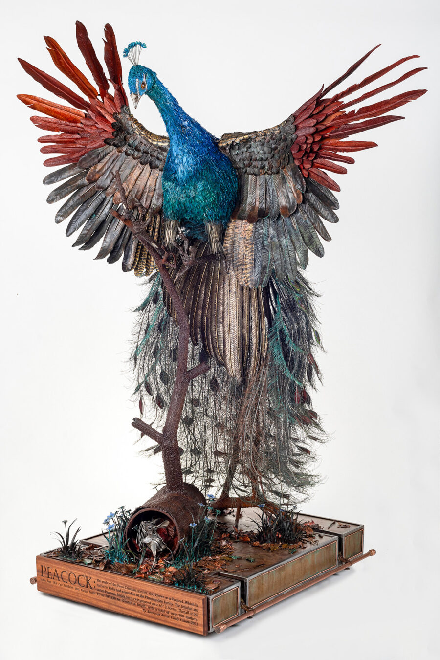 Peacock Sculpture by Cindy Chinn - 17