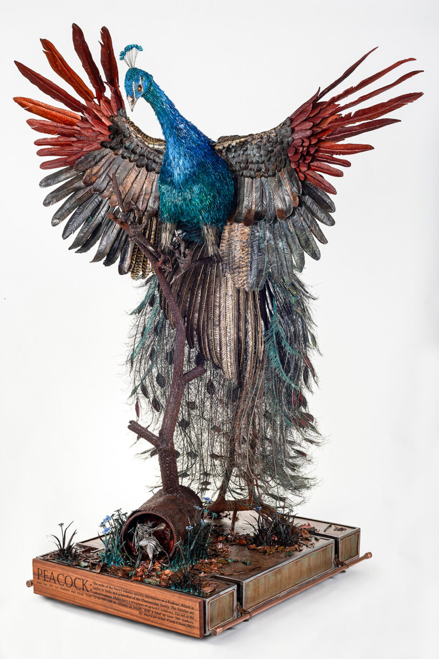 Peacock Sculpture by Cindy Chinn - 18