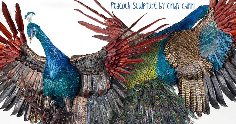 peacock-sculpture-by-cindy-chinn-OG