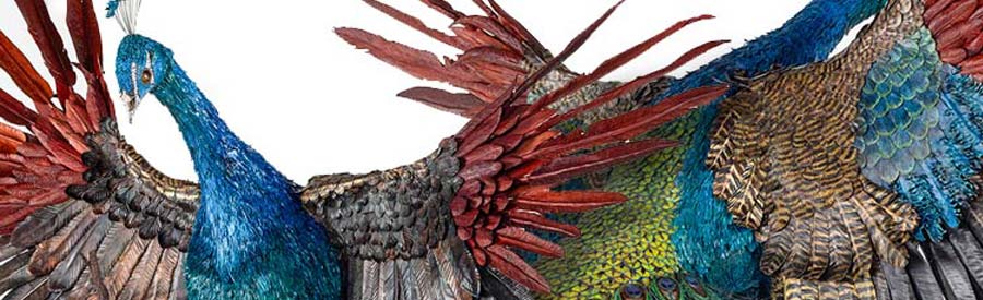 Peacock-sculpture-by-cindychinn