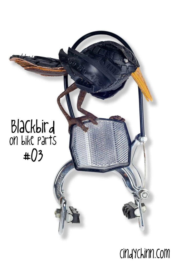 BlackBird Mounted on Bike Parts 03 A SIG