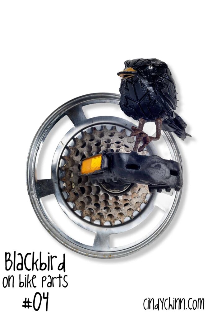 BlackBird Mounted on Bike Parts 04 A SIG