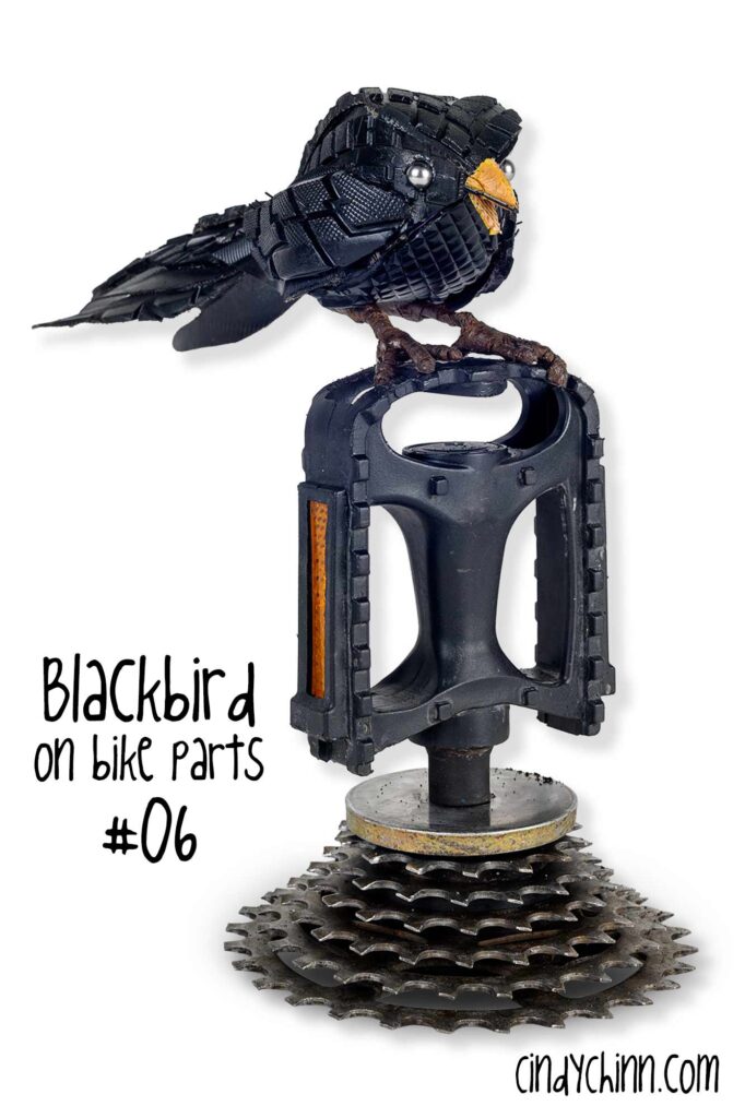 BlackBird Mounted on Bike Parts 06 A SIG