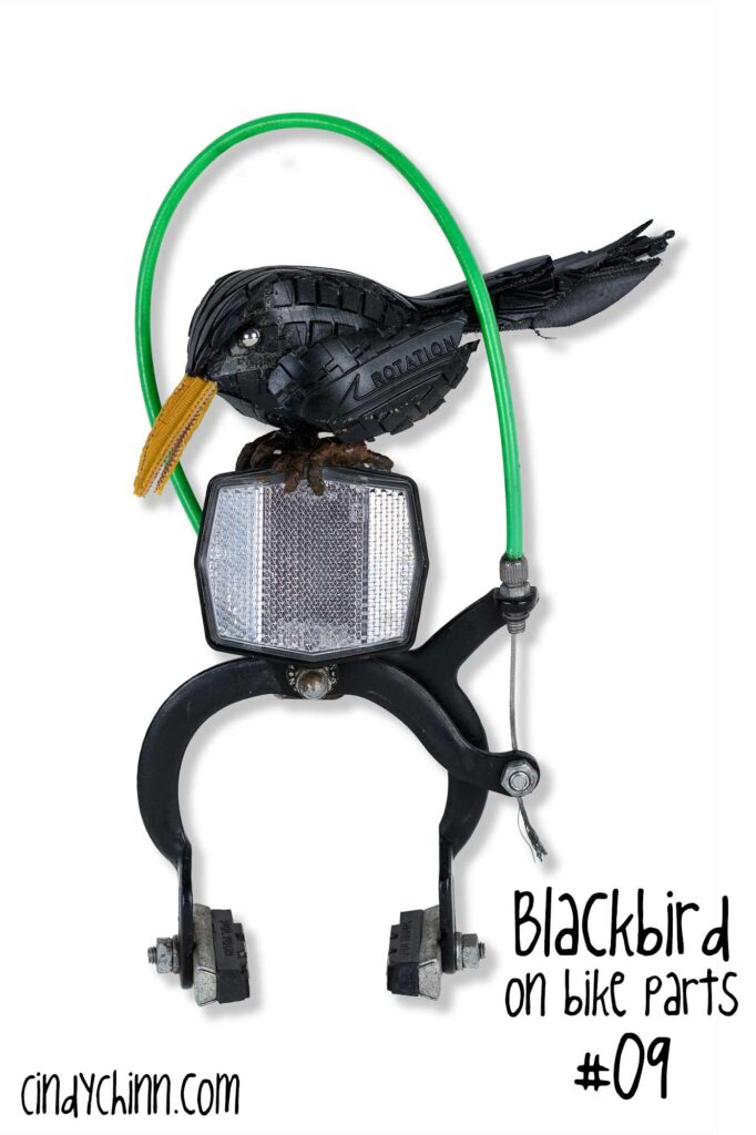 BlackBird Mounted on Bike Parts 09 B SIG
