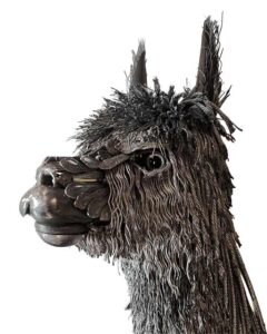 20260219 alpaca from featured