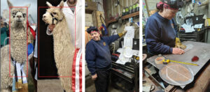 251222 Cindy chinn alpaca sculpure reference 01