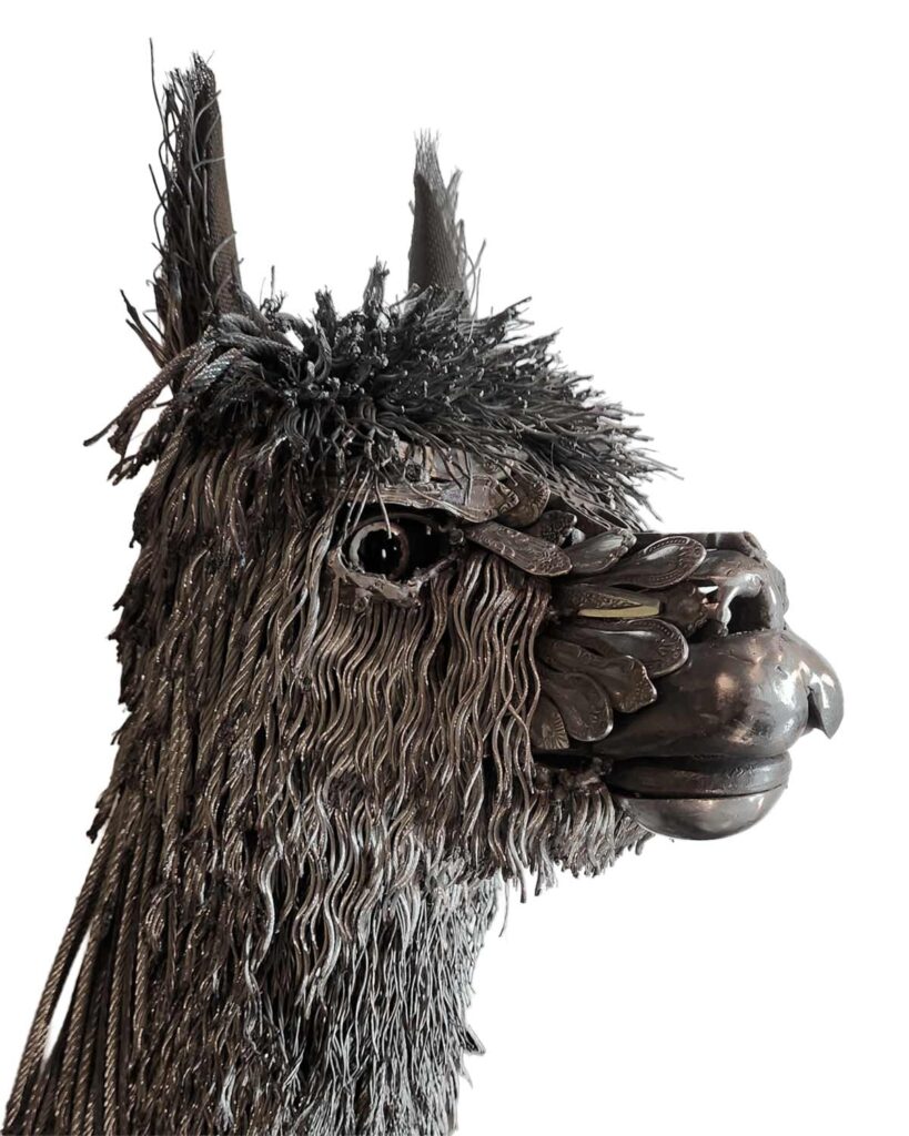 260219 alpaca sculpture bust scrap metal wire cindy chinn