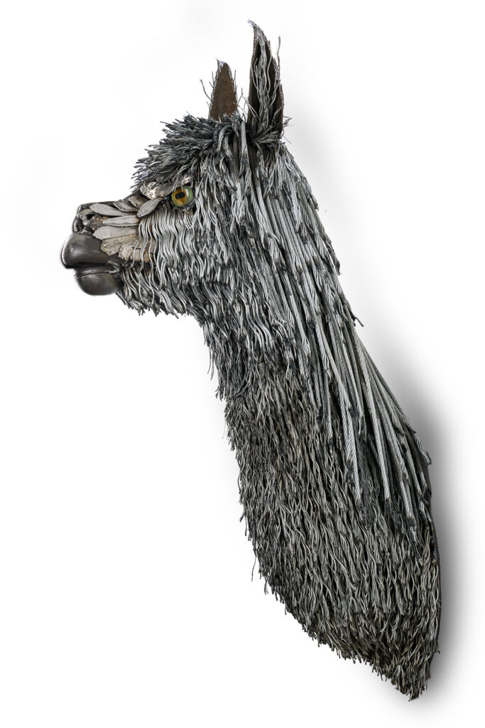 suri Alpaca Bust Sculpture scrap metal wire Cindy Chinn 08