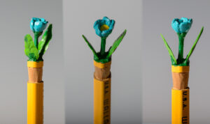 Robins egg blue combo 1000