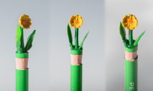 goldenrod combo 1000